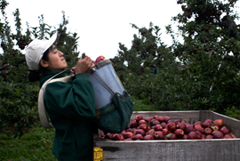 woman worker